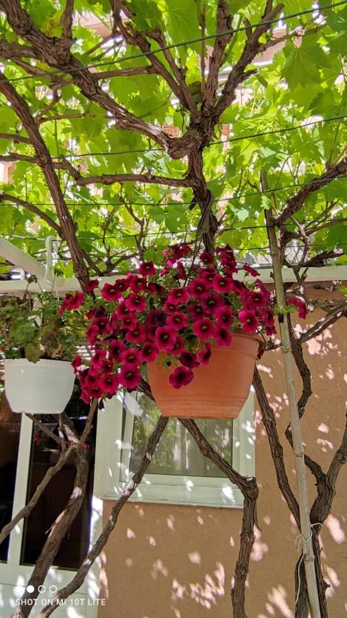 Apartman Tihana Crikvenica Luaran gambar